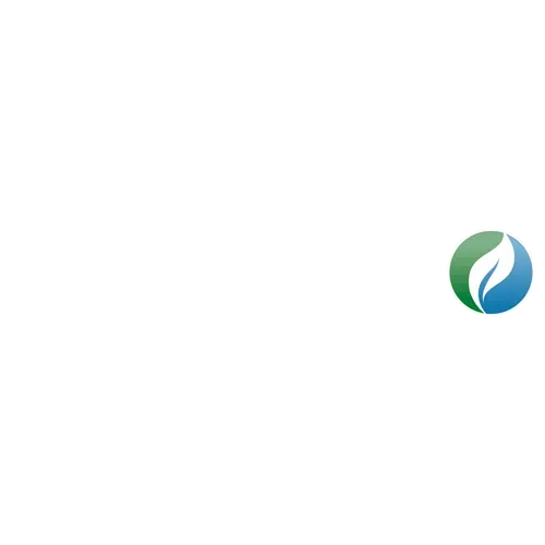 Stonetreatment